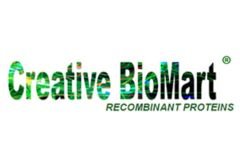 Untitled design - 25