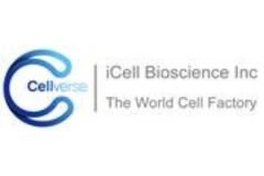 Untitled design - 38