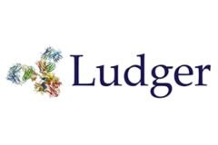 Untitled design - 44